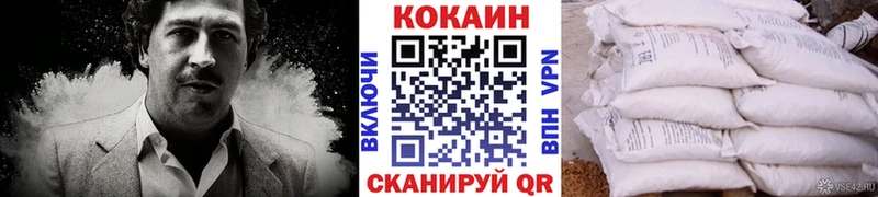 Кокаин FishScale  продажа наркотиков  Пионерский 