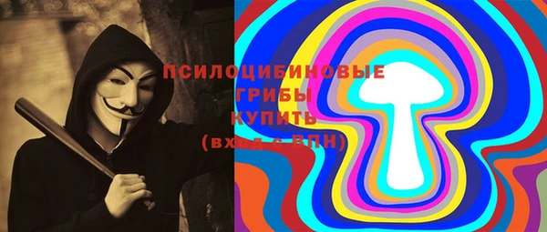 сатива Богородицк