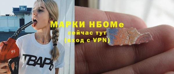сатива Богородицк