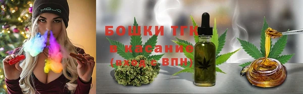 сатива Богородицк