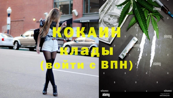 сатива Богородицк